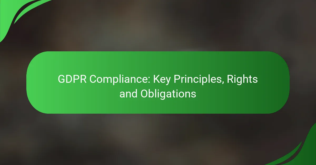 GDPR Compliance: Key Principles, Rights and Obligations