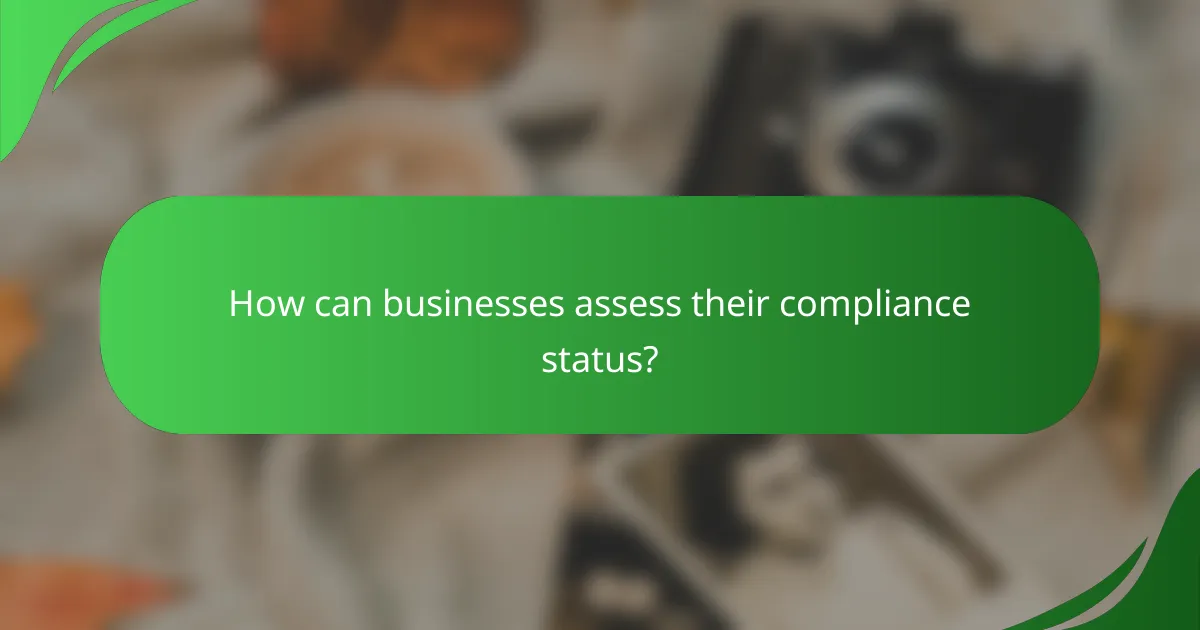 How can businesses assess their compliance status?
